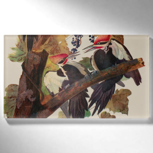 ohn James Audubon Pileated Woodpecker Bird Print Name Tag