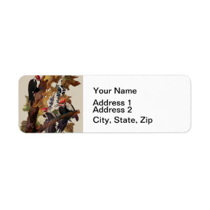 ohn James Audubon Pileated Woodpecker Bird Print Return Address Label