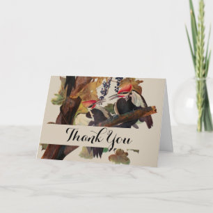 ohn James Audubon Pileated Woodpecker Bird Print Thank You Card