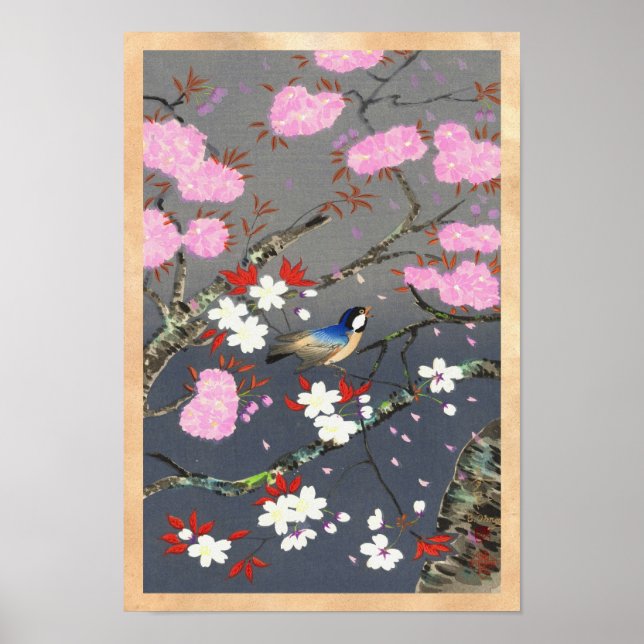 Ohno Bakufu Cherry Blossoms bluebird shin hanga Poster (Front)