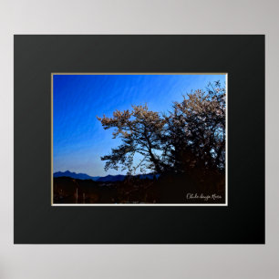 Ohuda-Hongo, Nara: Cherry Blossom ポスター Poster