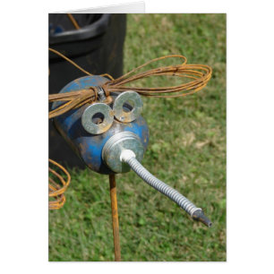 Oil Can Insect