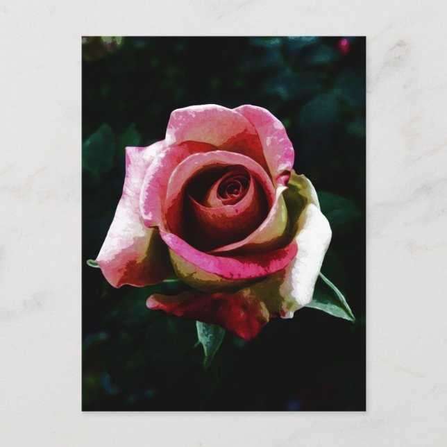 Oil painted red rose holiday postcard (Front)