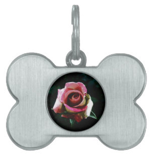Oil painted red rose pet name tag