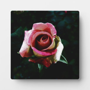 Oil painted red rose plaque