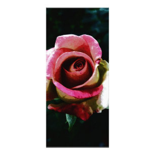 Oil painted red rose rack card