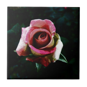 Oil painted red rose tile