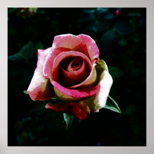 Oil painted rose poster