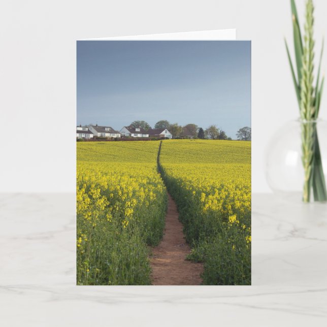 Oil Seed Path Card (Front)