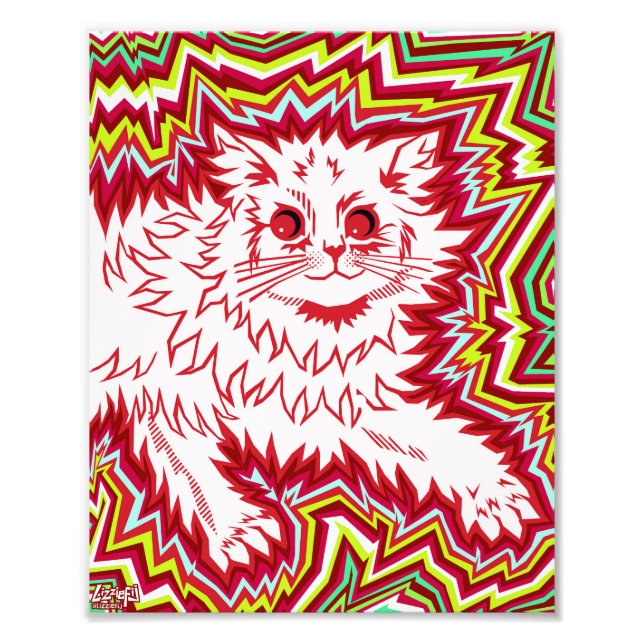 Oingo Boingo psychedelic cat print (Front)