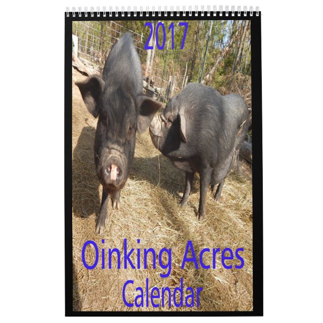 Oinking Acres Mini Pigs Calendar (Cover)
