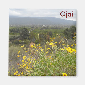 Ojai Valley, California Magnet