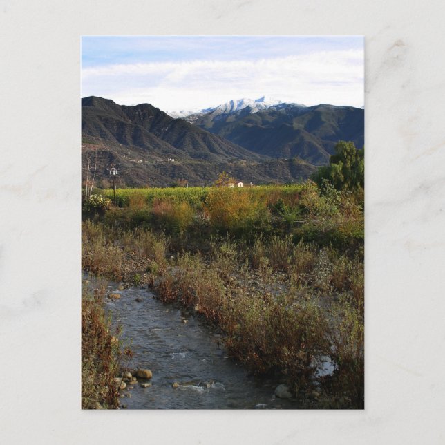 Ojai Valley Postcard (Front)