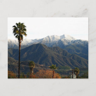 Ojai Valley With Snow Postcard