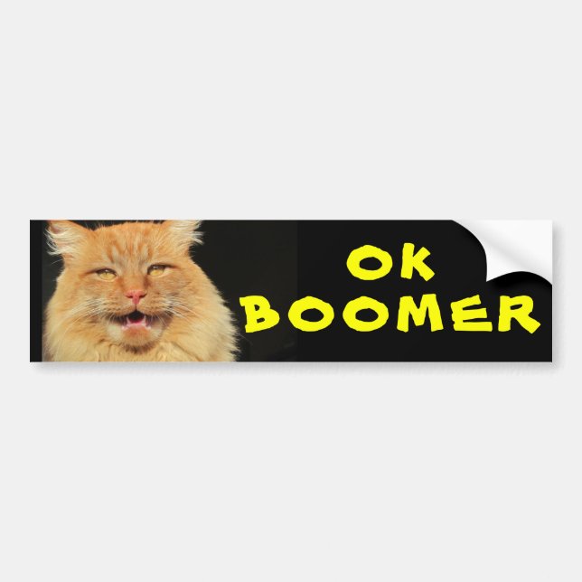 OK BOOMER  Funny Cat Meme Bumper Sticker (Front)