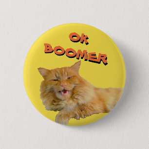 Ok Boomer Talking Cat Meme 6 Cm Round Badge