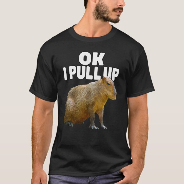 Ok I Pull Up Capybara Funny Capybara Lover Dank Me T-Shirt (Front)