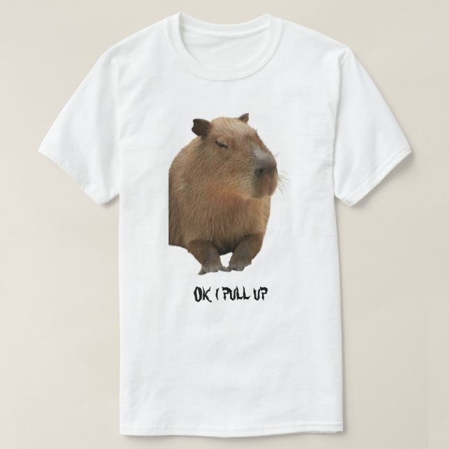 Ok i pull up Capybara T-Shirt (Design Front)