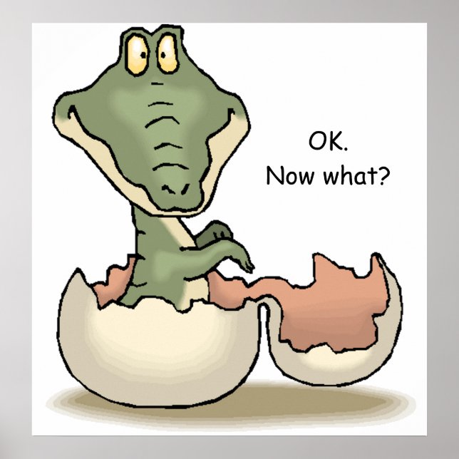 OK. Now what? Poster (Front)