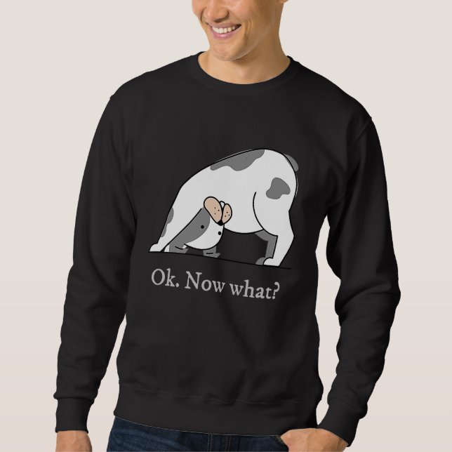 Ok Now What Yoga Downward Dog Workout Sweatshirt (Front)