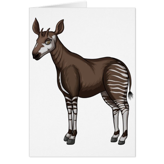 Okapi (Front)