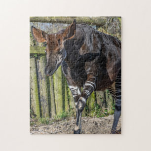 Okapi at the zoo puzzle