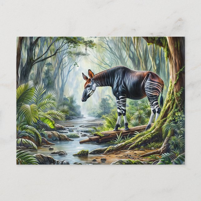Okapi In Rainforest Wildlife Watercolor Postcard (Front)