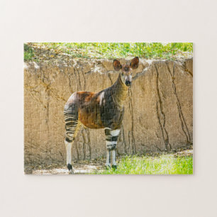 Okapi Jigsaw Puzzle