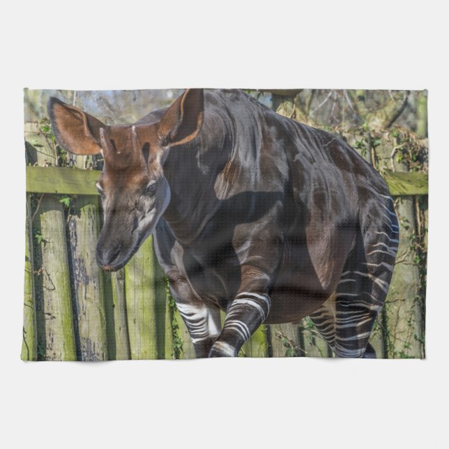 Okapi kitchen towel (Horizontal)