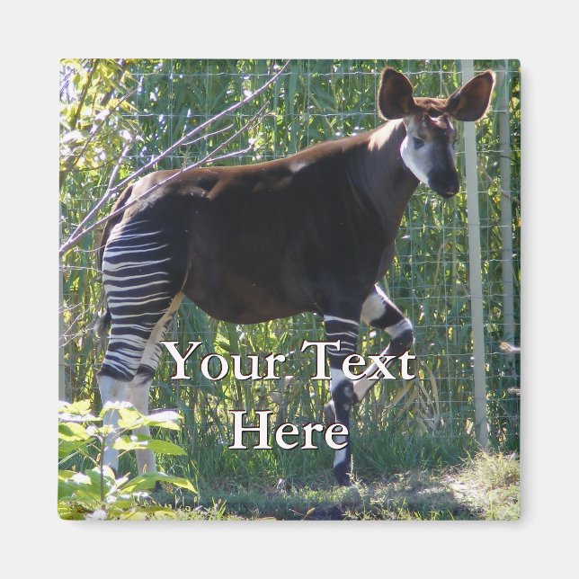 Okapi Magnet (Front)