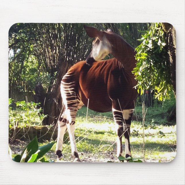 Okapi Mouse Pad (Front)