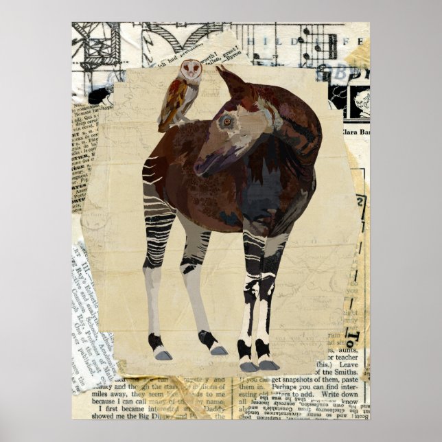 OKAPI & OWL Art Poster (Front)