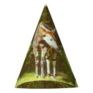 okapi party hat