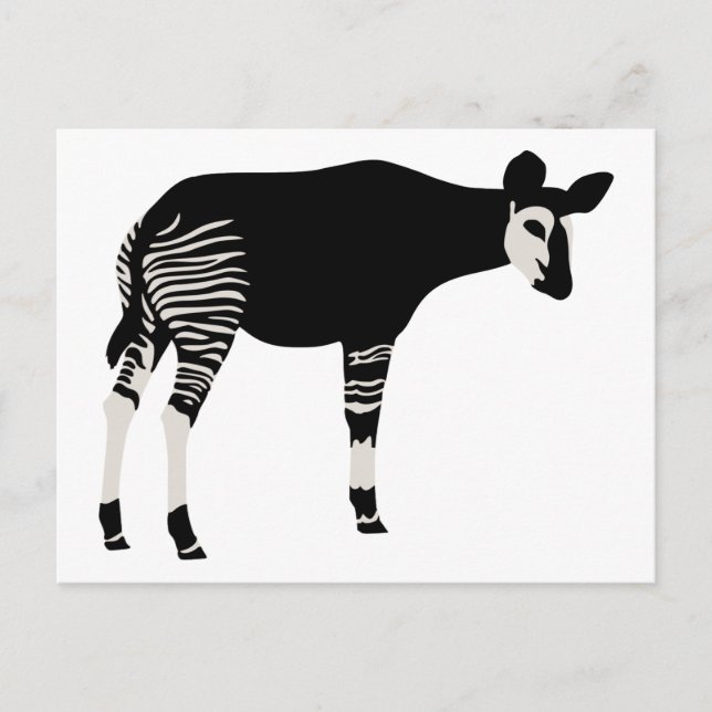 Okapi Postcard (Front)
