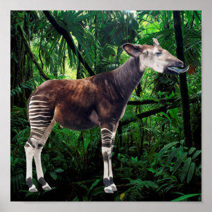 Okapi Poster