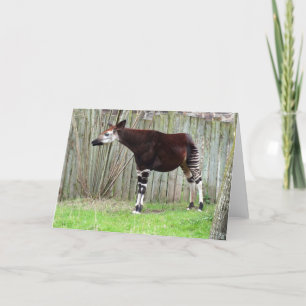 Okapi standing by fence holiday card