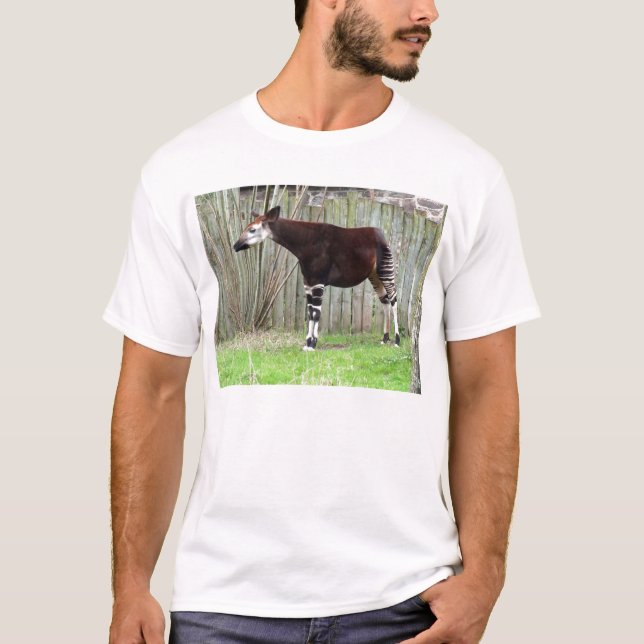 Okapi standing by fence T-Shirt (Front)