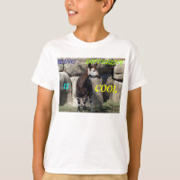 OKAPI