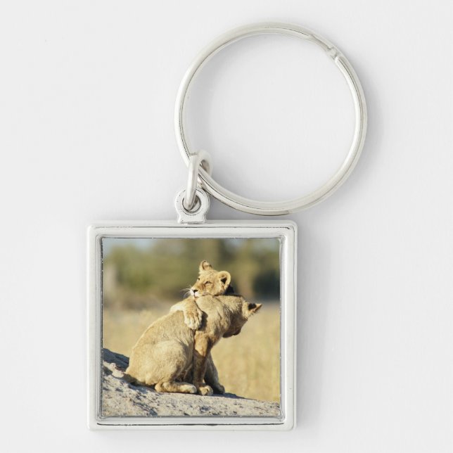 Okavango Delta, Botswana 2 Key Ring (Front)