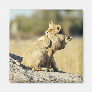 Okavango Delta, Botswana 2 Magnet