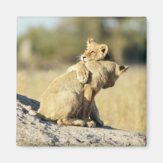 Okavango Delta, Botswana 2 Magnet (Front)