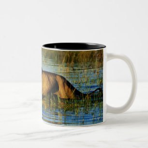 Okavango Delta, Botswana 3 Two-Tone Coffee Mug