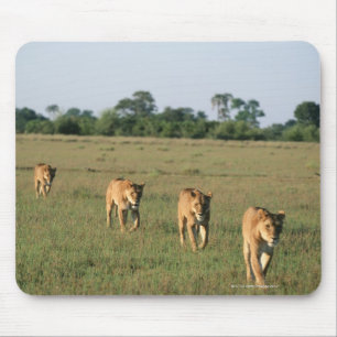 Okavango Delta, Botswana 4 Mouse Pad