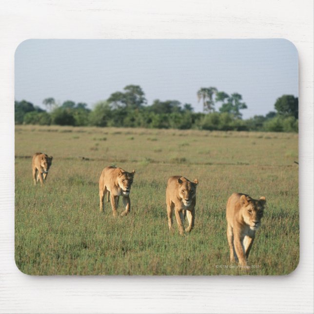 Okavango Delta, Botswana 4 Mouse Pad (Front)
