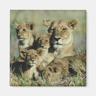 Okavango Delta, Botswana Magnet