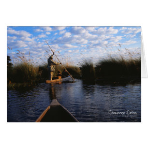 Okavango Delta Photo