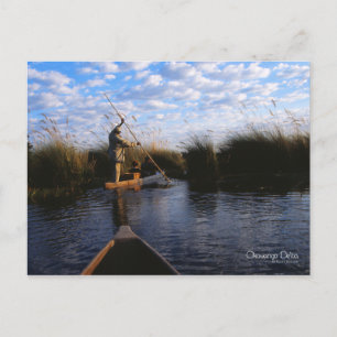 Okavango Delta Postcard