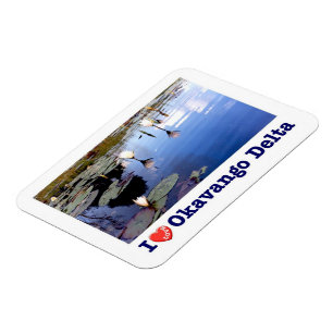 Okavango Water Lillies - Magnet
