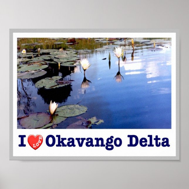 Okavango Water Lillies - Poster (Front)