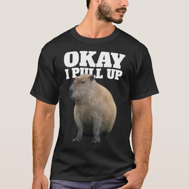 Okay I Pull Up Capybara Funny Capybara Lover T-Shirt (Front)